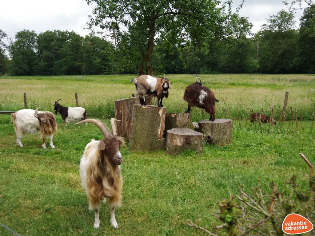 Vakantieadressen accommodatie afbeelding