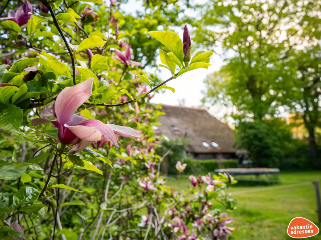 Vakantieadressen accommodatie afbeelding