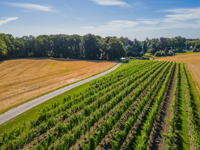 Vakantiewoning in Berg en Dal (Gelderland) voor 20 personen met 10 slaapkamers.