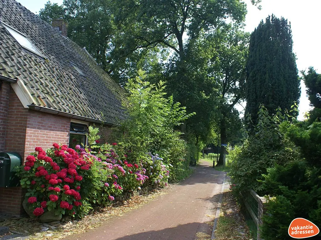 Vakantiewoning in Diever (Drenthe) voor 12 personen met 5 slaapkamers.