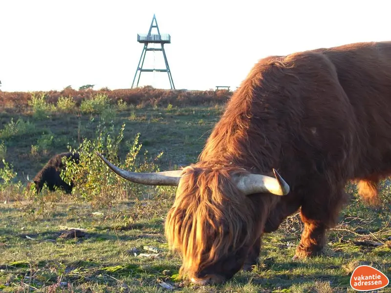 Vakantieadressen accommodatie afbeelding