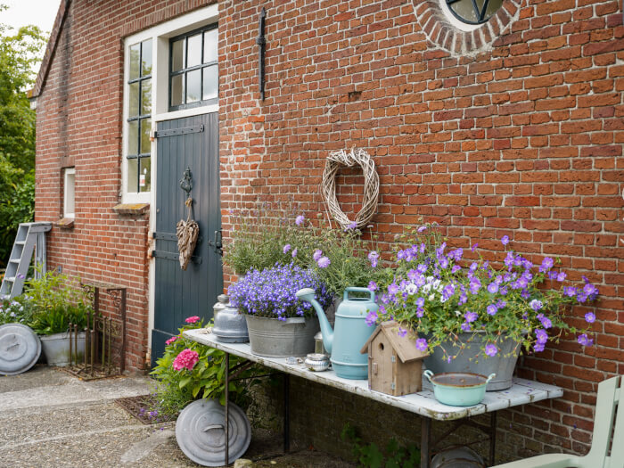 Vakantiewoning in Engwierum (Friesland) voor 16 personen met 7 slaapkamers.