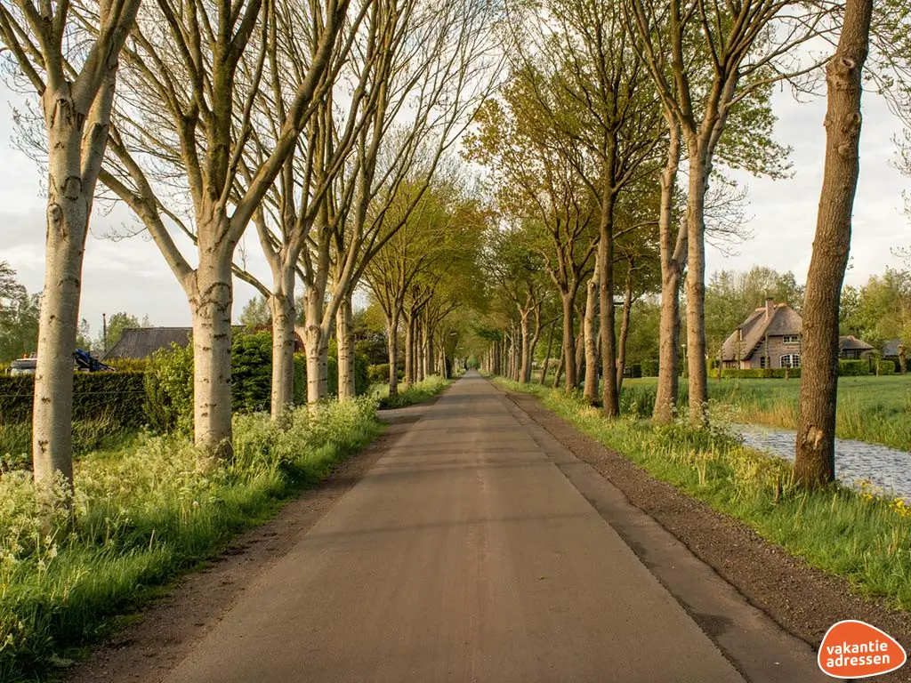 Vakantieadressen accommodatie afbeelding