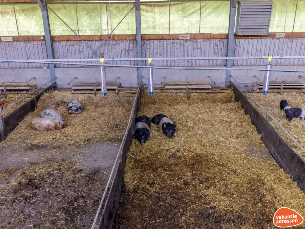 Vakantieadressen accommodatie afbeelding