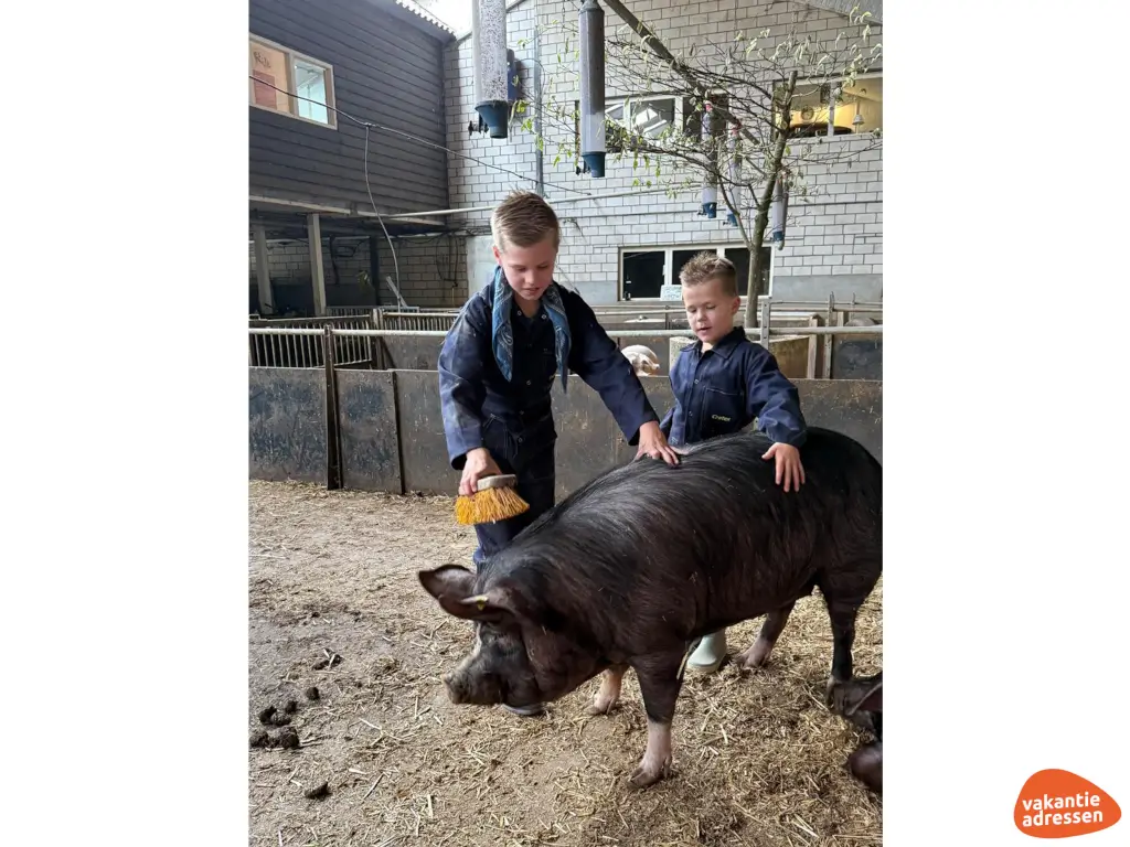 Vakantieadressen accommodatie afbeelding