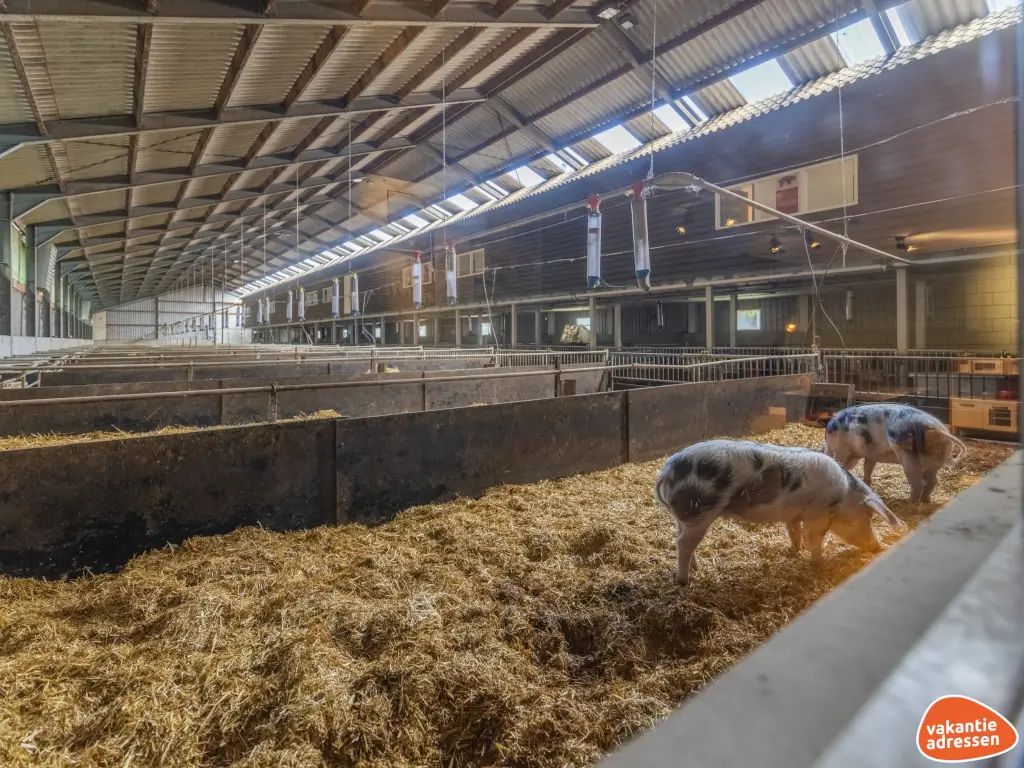 Vakantieadressen accommodatie afbeelding