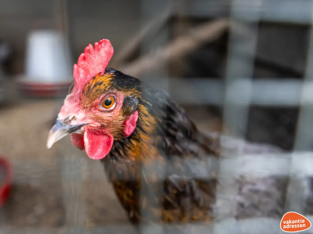 Vakantieadressen accommodatie afbeelding