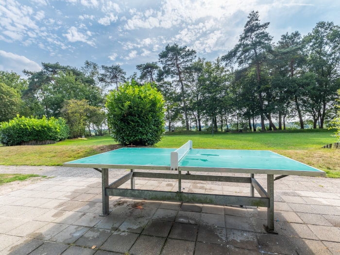 Vakantiewoning in Ommen (Overijssel) voor 22 personen met 4 slaapkamers.