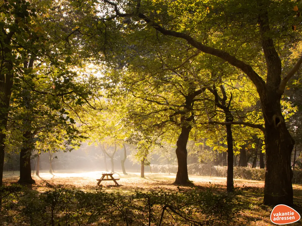 Vakantieadressen accommodatie afbeelding