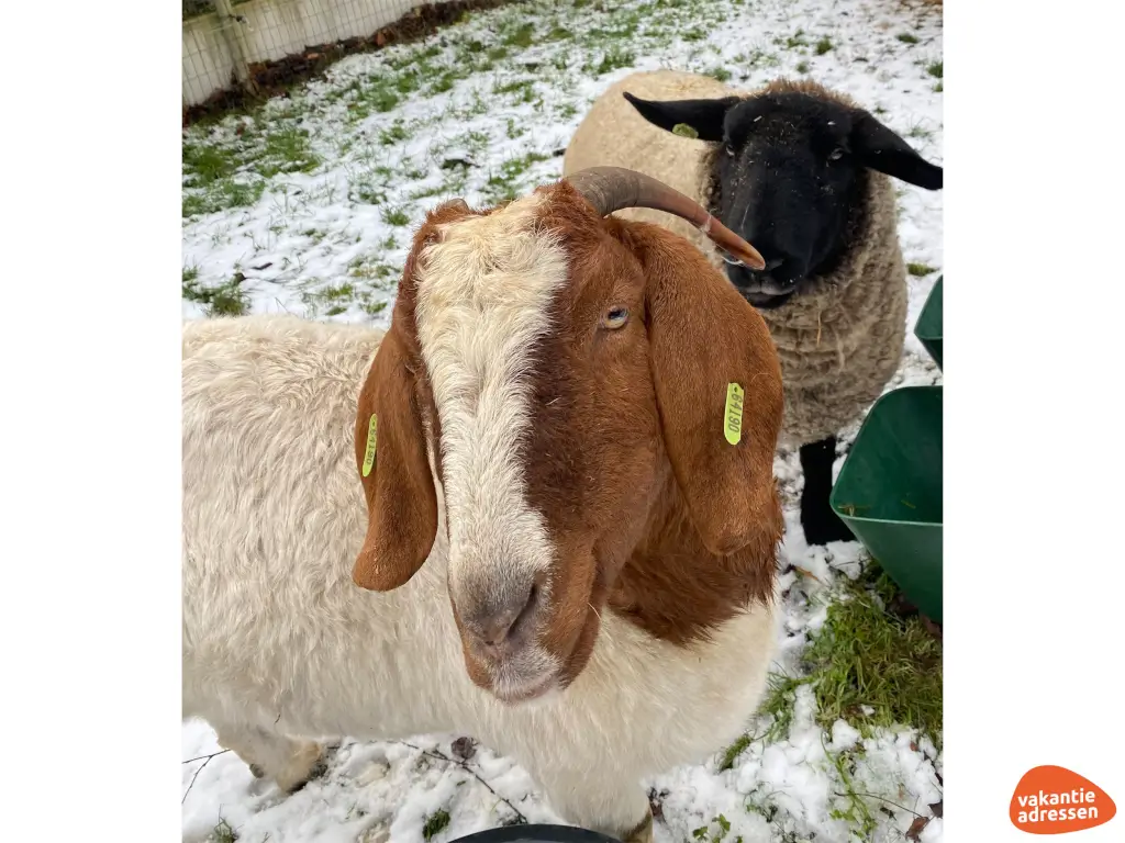 Vakantieadressen accommodatie afbeelding