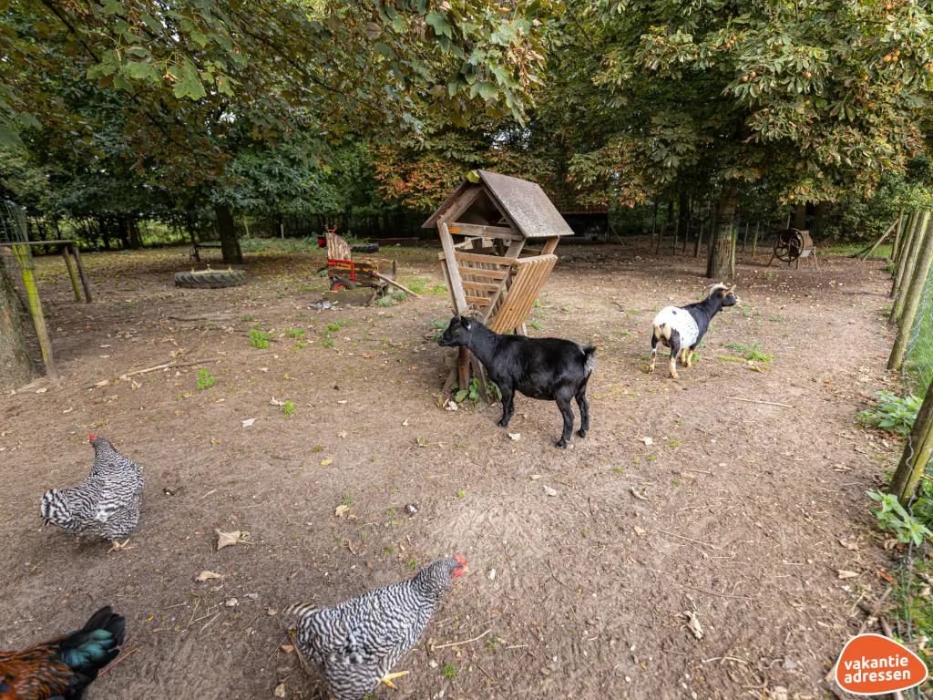 Vakantieadressen accommodatie afbeelding