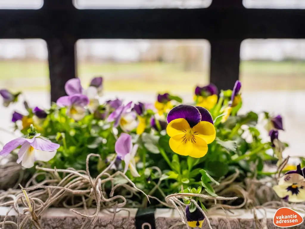 Vakantieadressen accommodatie afbeelding