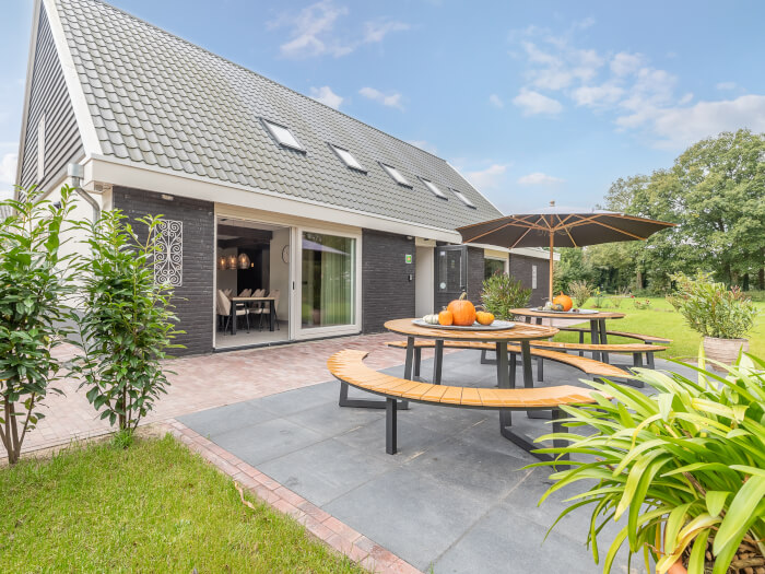 Vakantiewoning in Hengevelde (Overijssel) voor 16 personen met 7 slaapkamers.