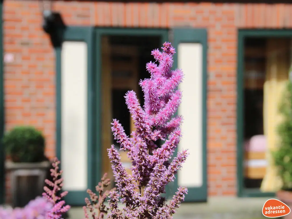 Vakantieadressen accommodatie afbeelding