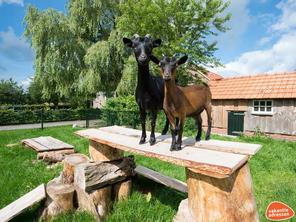 Vakantieadressen accommodatie afbeelding