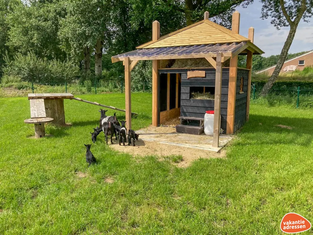 Vakantieadressen accommodatie afbeelding