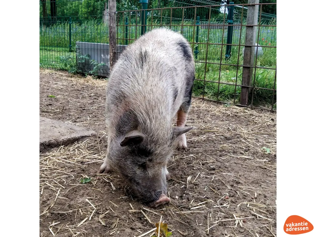 Vakantieadressen accommodatie afbeelding