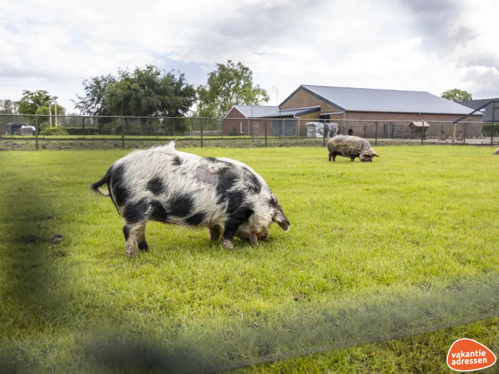 Vakantieadressen accommodatie afbeelding