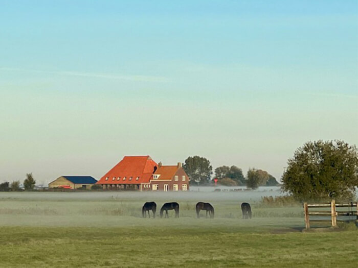 Vakantiewoning in Sloten (Friesland) voor 10 personen met 4 slaapkamers.