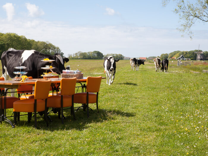 Vakantiewoning in Oudesluis (Noord-Holland) voor 26 personen met 11 slaapkamers.