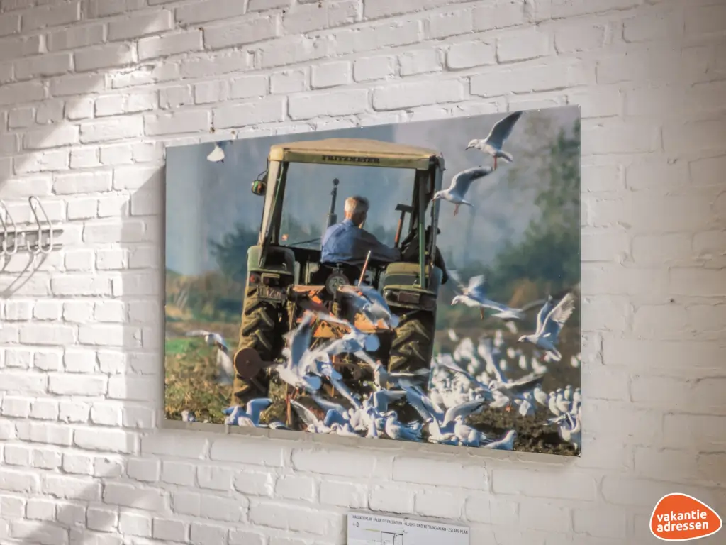 Vakantieadressen accommodatie afbeelding