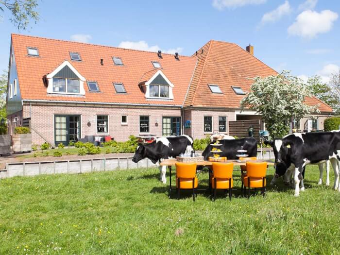 Vakantiewoning in Oudesluis (Noord-Holland) voor 22 personen met 11 slaapkamers.