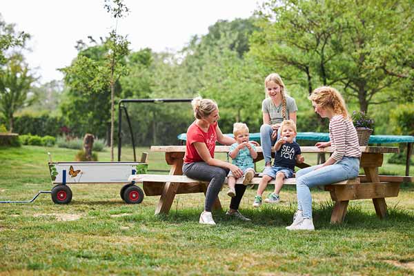 Vakantiehuizen voor 12 personen